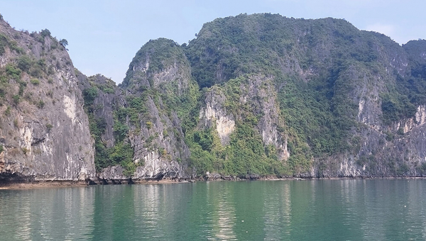 Вид на скалы в бухте Халонг(Ha Long)
