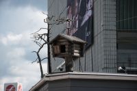 Rovaniemi-11