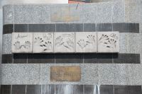 Rovaniemi-9